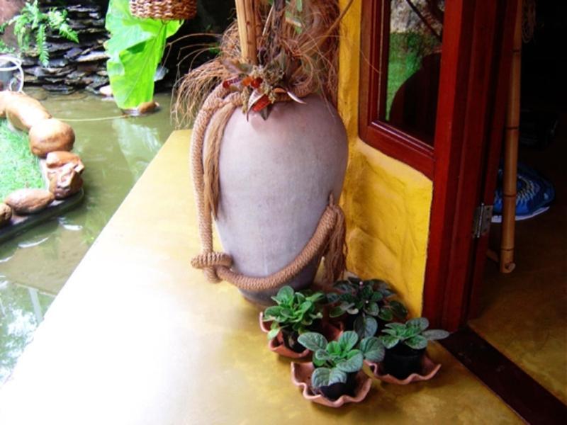 Pousada Bambu Brasil São Jorge Exteriör bild